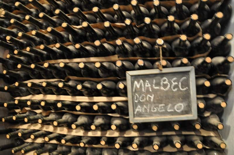  eating/Mendoza: Part Two of Our Adventures in Argentina