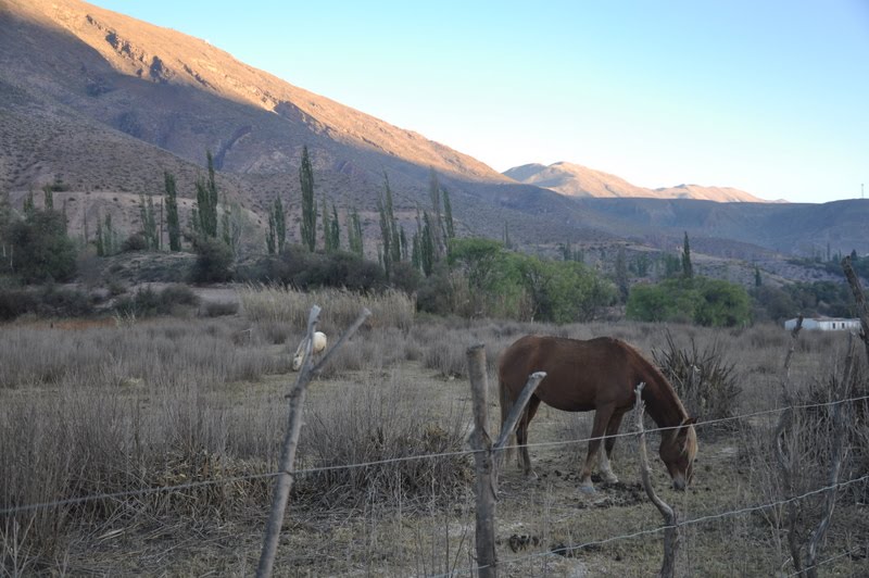  eating/Salta and Tilcara: Part 3 of 3