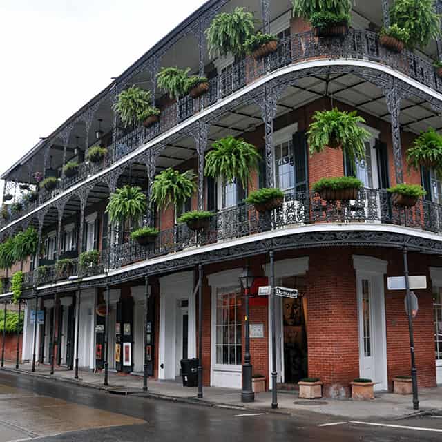 New Orleans City Guide