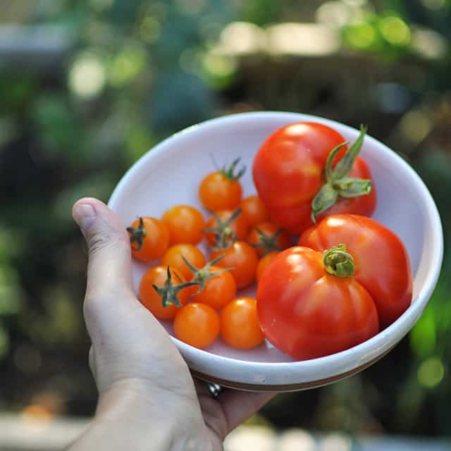 Our First Garden