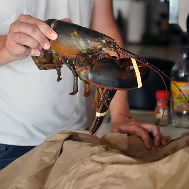 How to Cook and Clean Lobster