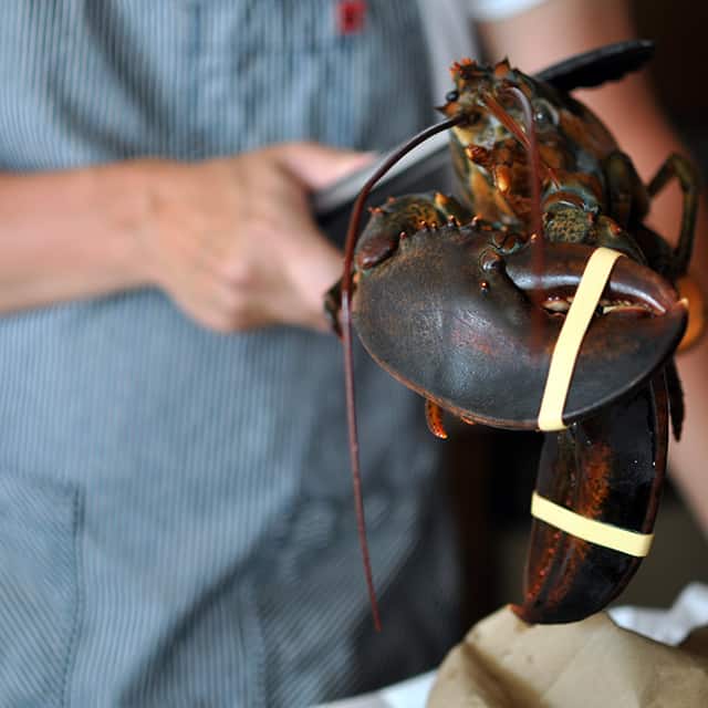 How to Cook and Clean Lobster