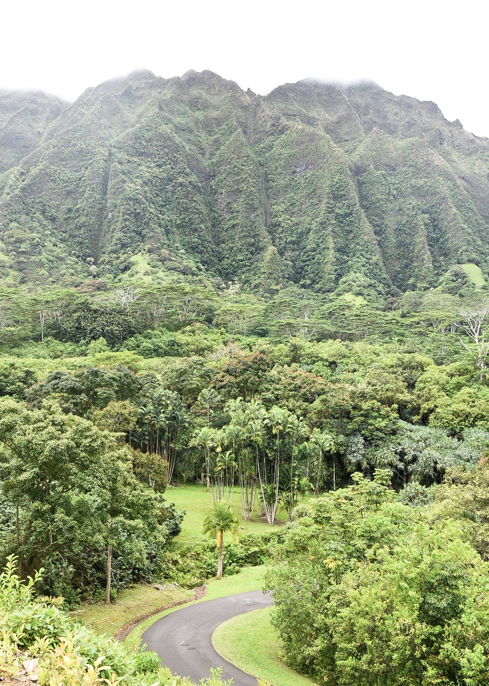 Why Your Next Destination Should be Oahu, Hawaii