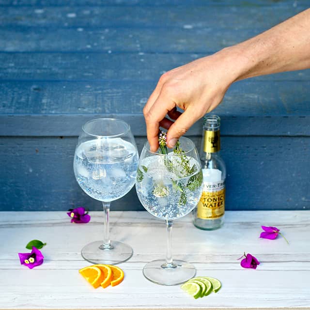 Home Bar: Spanish Gin Tonic