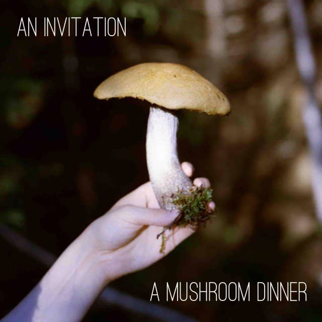 Wilder Quarterly Mushroom Dinner