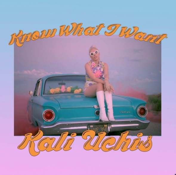 Kali-Uchis-Know-What-I-Want-590x588