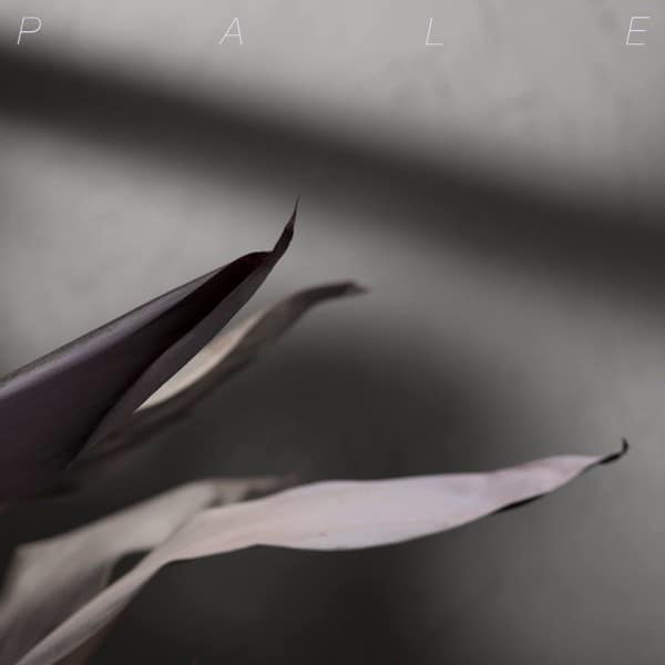 Pale Comeback