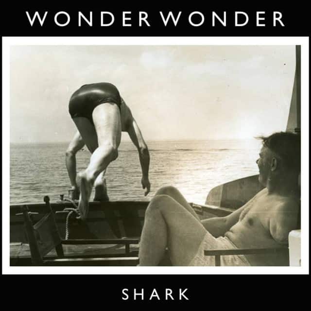 Wonder Wonder - Shark