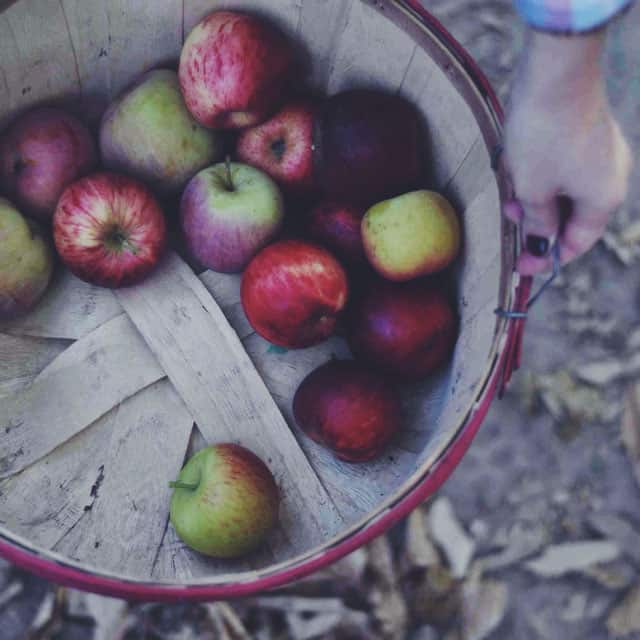 Apple Picking || Turntable Kitchen