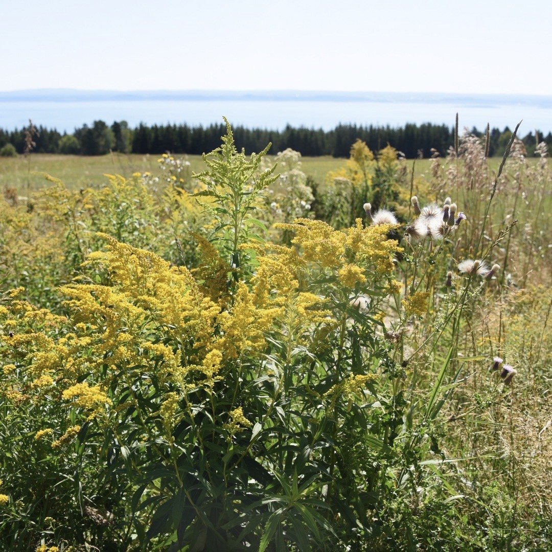 Travel Guide: Charlevoix, Quebec