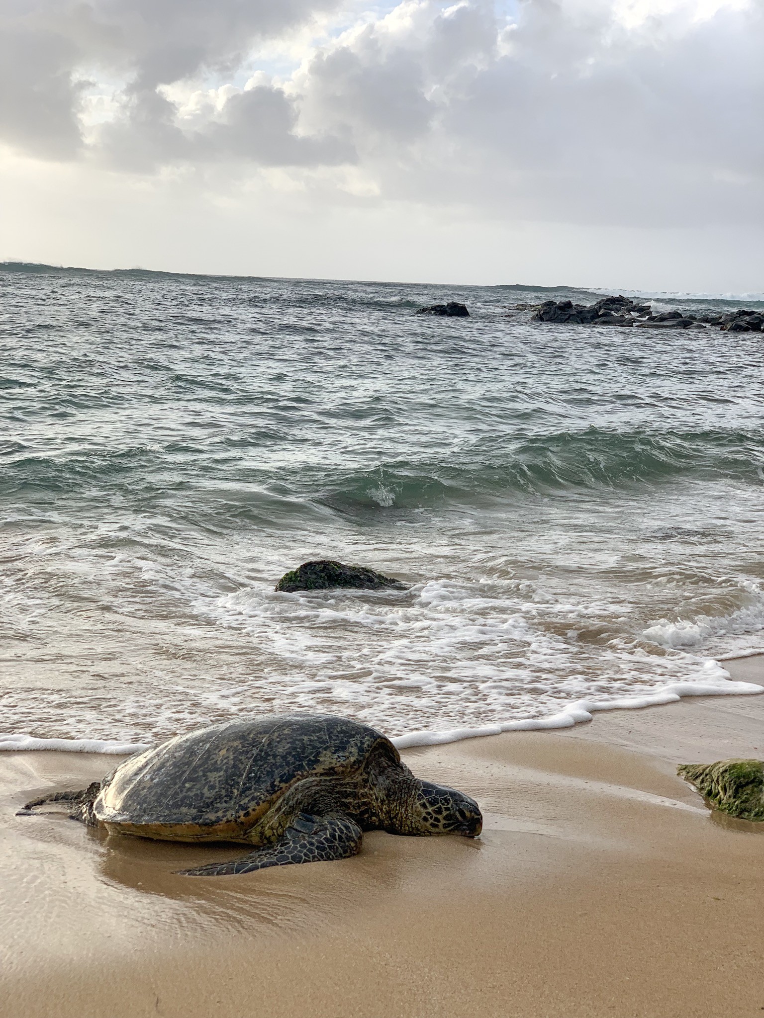 Why Your Next Destination Should be Oahu, Hawaii